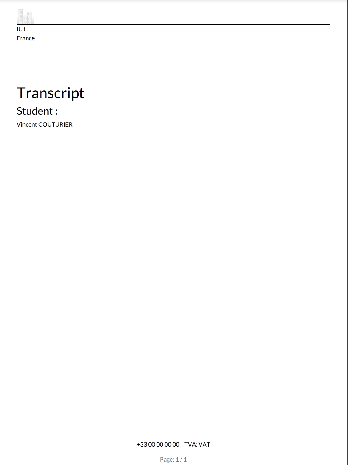 Q11 rapport simple Q11 rapport simple